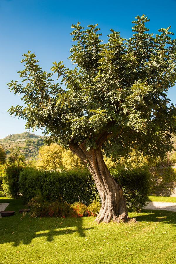 Alcantara Resort Di Charme Adults Only Gaggi Dış mekan fotoğraf